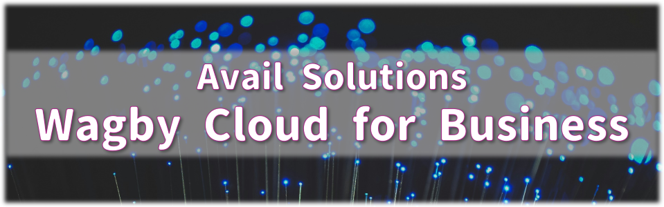 Avail Solutions Wagby Cloud for Business